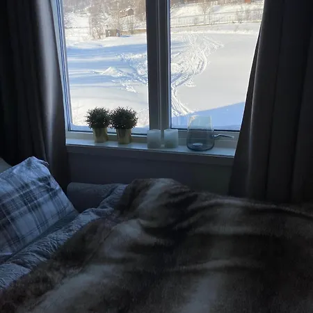 High Standard Appartment, Geilo *