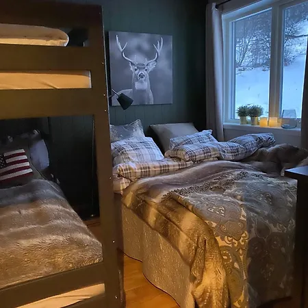 شقة High Standard Appartment, Geilo