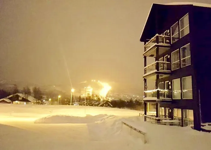 High Standard Appartment, Geilo Hol (Buskerud)
