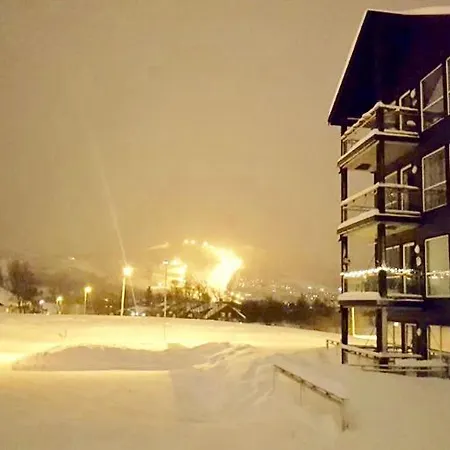 High Standard Appartment, Geilo Hol (Buskerud)