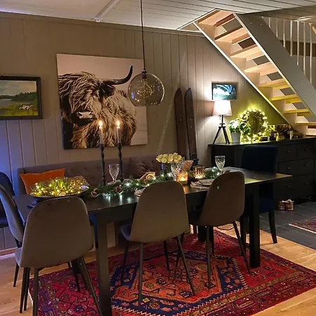 High Standard Appartment, Geilo Hol (Buskerud)
